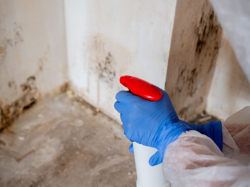 Mold Abatement Service detail
