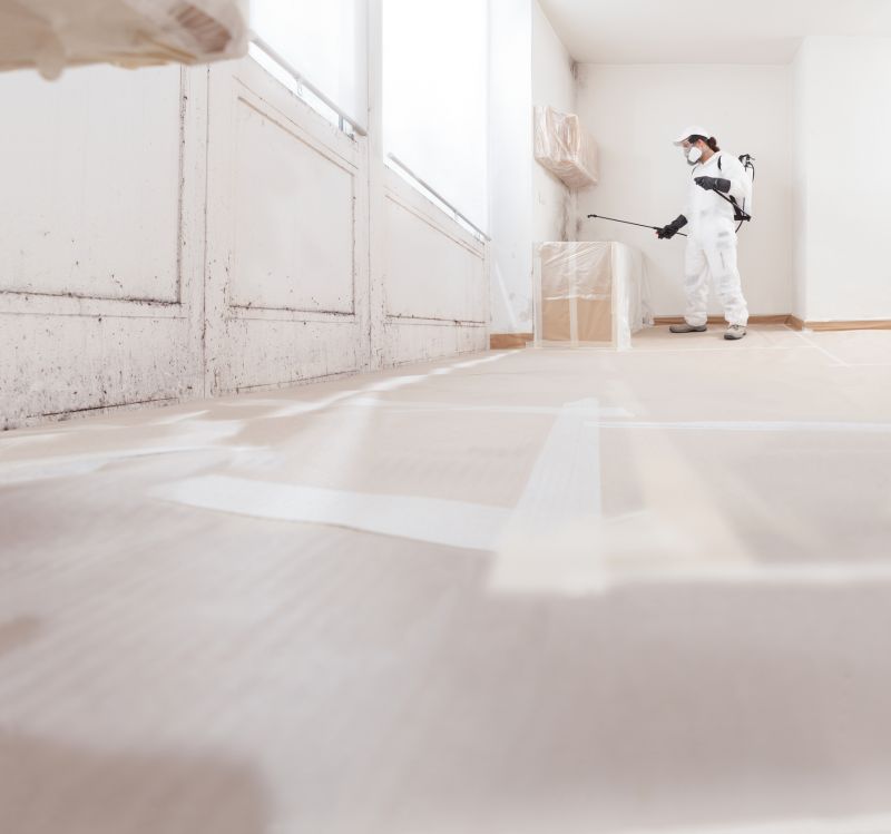 Mold Abatement Service
