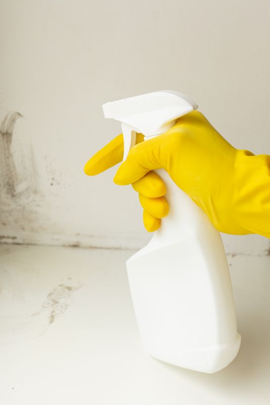 Mold Removal