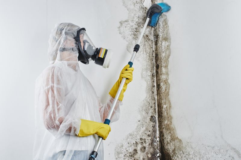 Increase Your Mold Removal Business with an AI Driven, Targeted Website