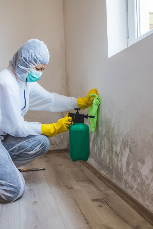 Contact About Mold Removal