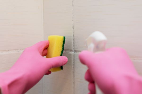 Tile Mold Removal